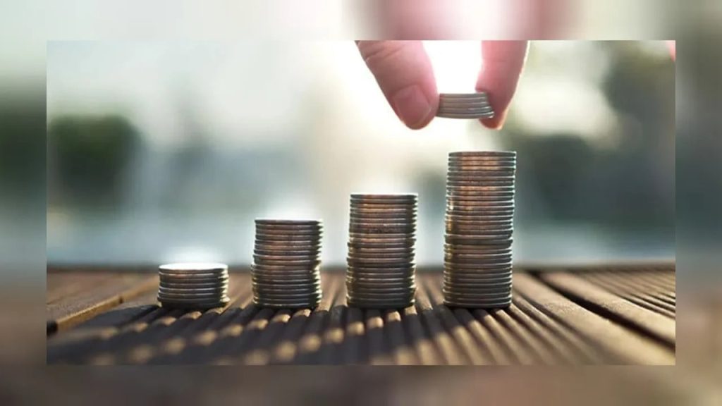 سرمایه گذار